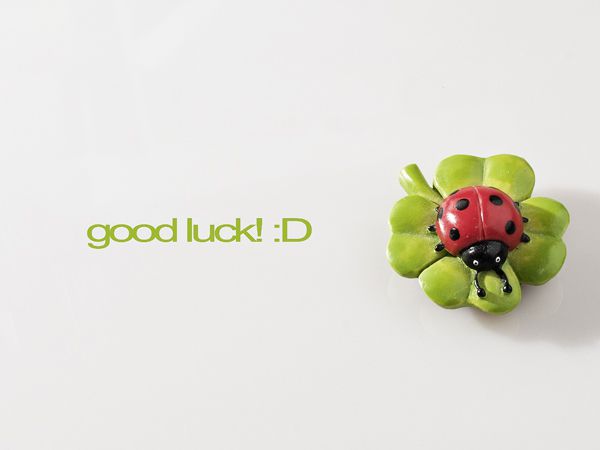 Желаю удачи!